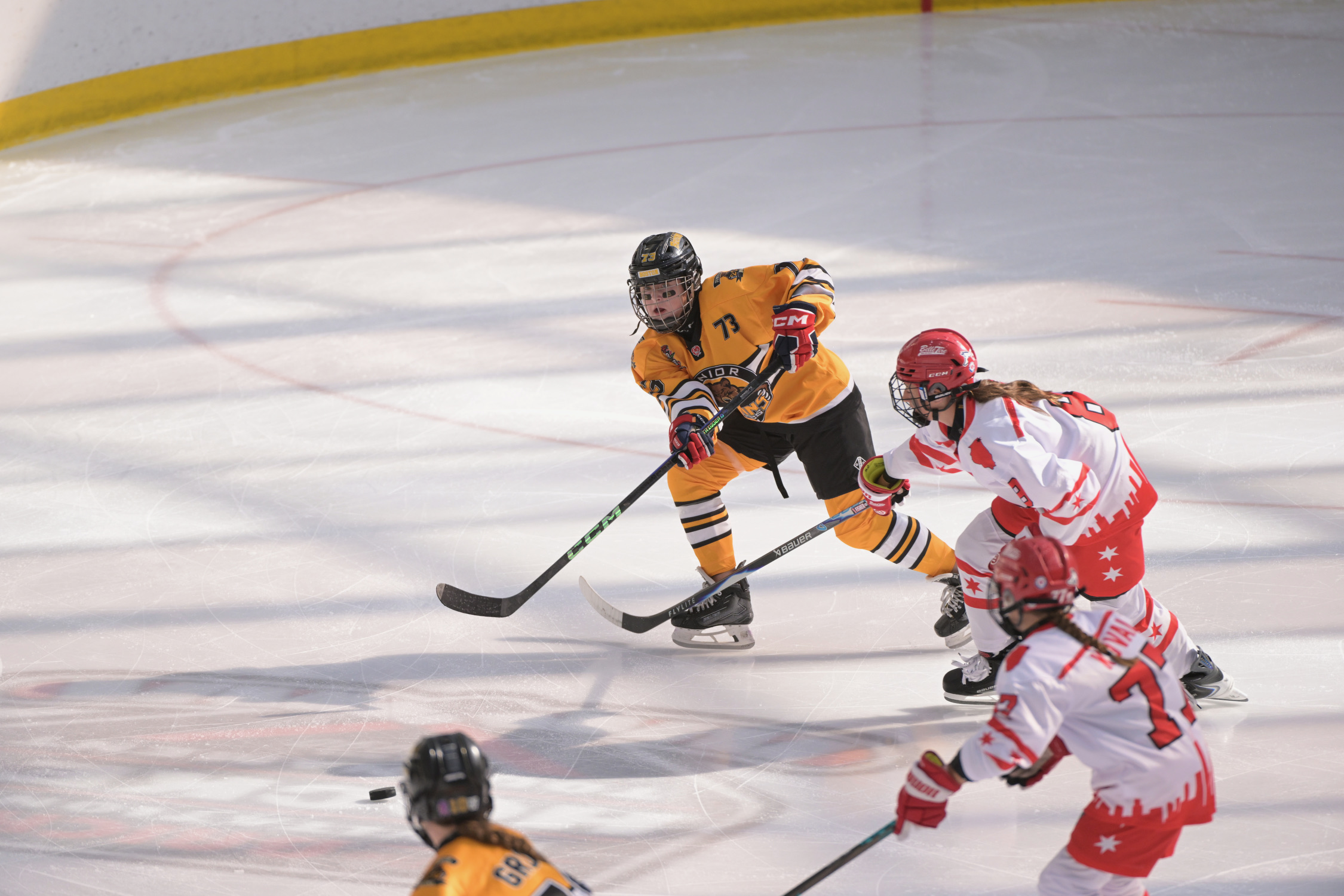 Junior Bruins Brick Tournament